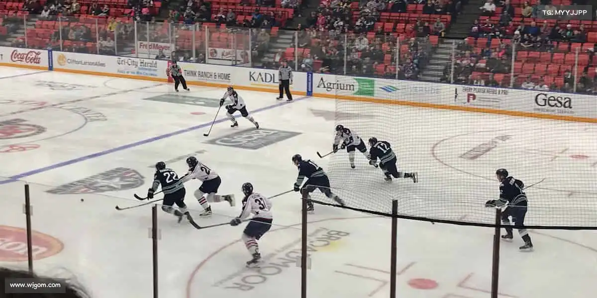 行业领先的理由